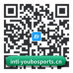 系统版 iOS 二维码